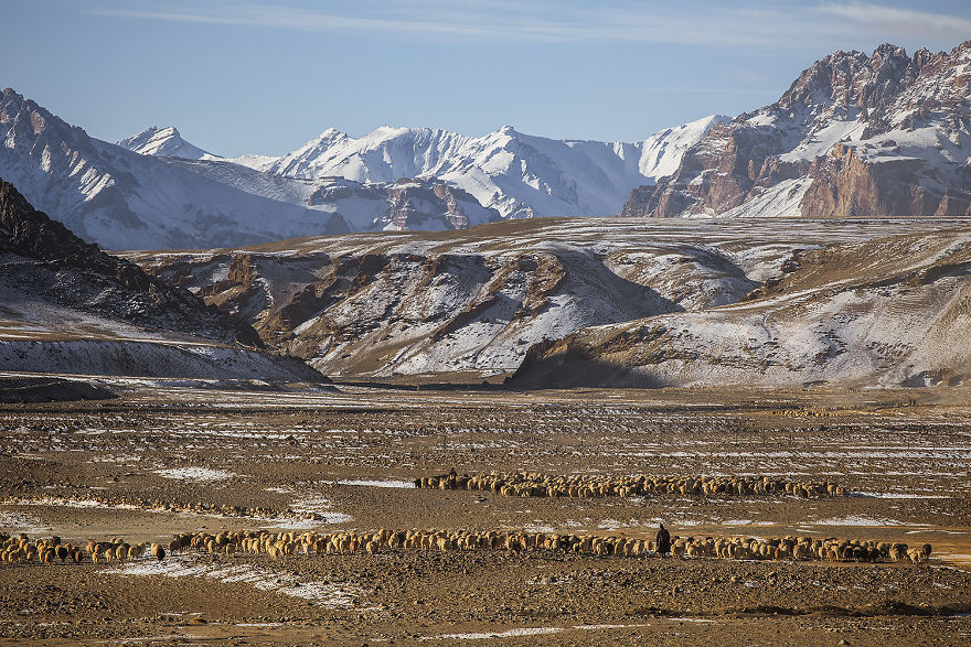 Why Cashmere Is So Expensive