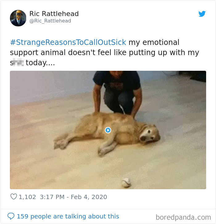 30 People Share Hilarious And Strange Reasons They Would Call In Sick 30 People Share Hilarious And Strange Reasons They Would Call In Sick