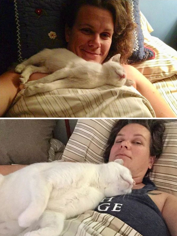 This Online Community Shares How Their Adopted Cats Looked Then & Now And It’s Heartwarming (30 Pics) This Online Community Shares How Their Adopted Cats Looked Then & Now And It’s Heartwarming (30 Pics)