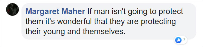 Astonishing Picture Shows Two Young Gorillas Dismantling The Traps Set By The Poachers That Killed Their Friend Astonishing Picture Shows Two Young Gorillas Dismantling The Traps Set By The Poachers That Killed Their Friend