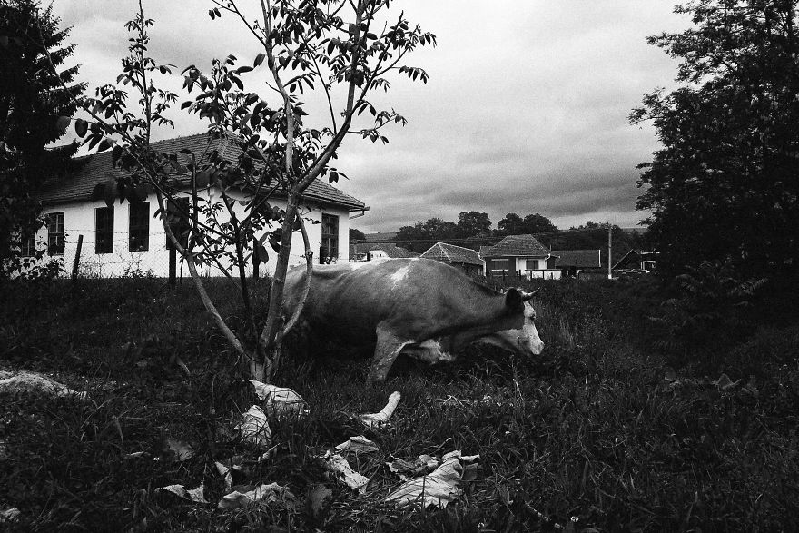 I Photographed Romania For A Project Called “Between Mud And Sky” I Photographed Romania For A Project Called “Between Mud And Sky”