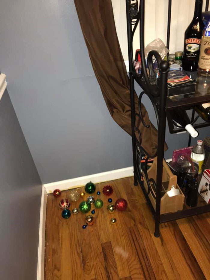 Man Puts Up ‘Home Alone’ Inspired Traps As Christmas Decorations Man Puts Up ‘Home Alone’ Inspired Traps As Christmas Decorations