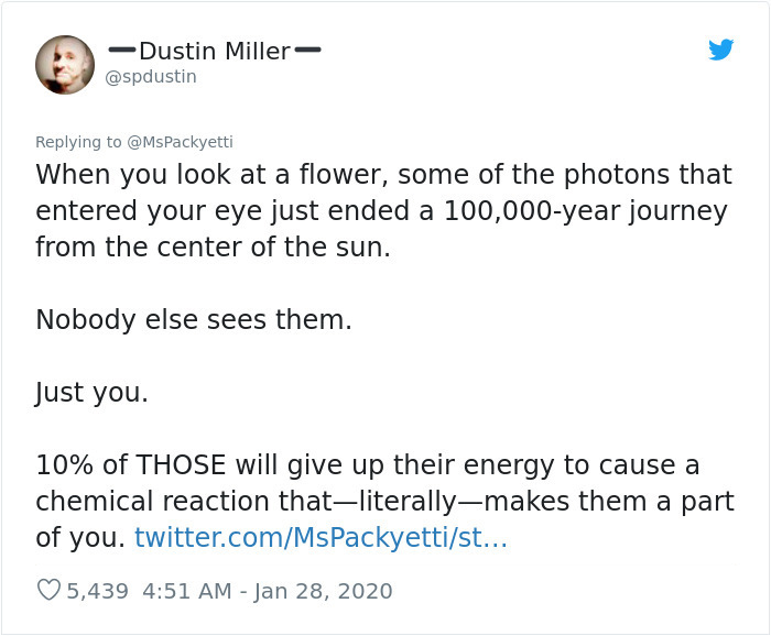 Someone Starts A Twitter Thread On The Most Random Facts And 35 People Deliver Someone Starts A Twitter Thread On The Most Random Facts And 35 People Deliver