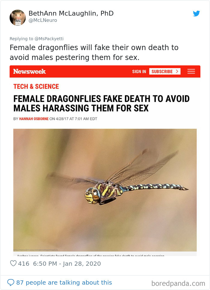 Someone Starts A Twitter Thread On The Most Random Facts And 35 People Deliver Someone Starts A Twitter Thread On The Most Random Facts And 35 People Deliver