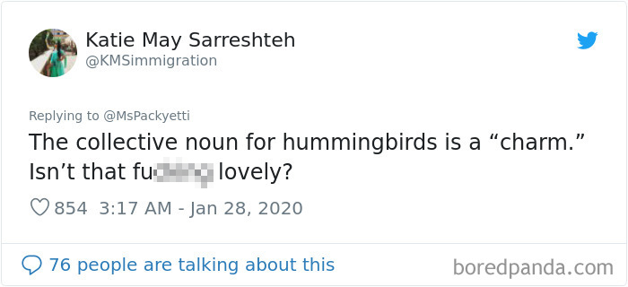 Someone Starts A Twitter Thread On The Most Random Facts And 35 People Deliver Someone Starts A Twitter Thread On The Most Random Facts And 35 People Deliver