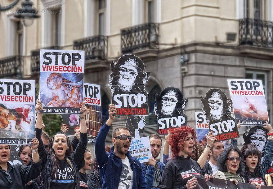 The Top 30 Photos From Our Photojournalism Contest Show The Best And Worst Of Humanity The Top 30 Photos From Our Photojournalism Contest Show The Best And Worst Of Humanity