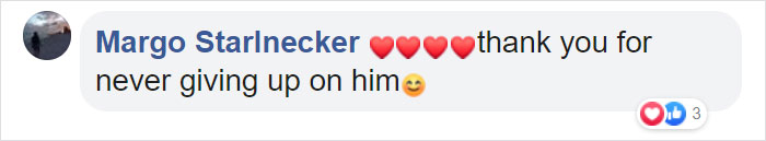 Paralyzed Kitten Couldn’t Contain His Zooms After Getting A Wheelchair, Grew Up Into A Handsome Cat Paralyzed Kitten Couldn’t Contain His Zooms After Getting A Wheelchair, Grew Up Into A Handsome Cat