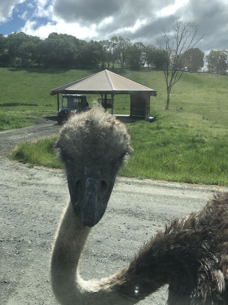 I Share All That Can Be Seen Through My Eyes I Share All That Can Be Seen Through My Eyes