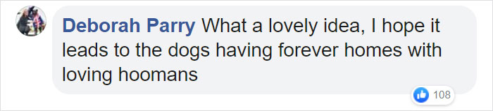 Super Bowl Winner Celebrates Victory By Paying The Adoption Fees Of Every Dog In A Shelter Super Bowl Winner Celebrates Victory By Paying The Adoption Fees Of Every Dog In A Shelter