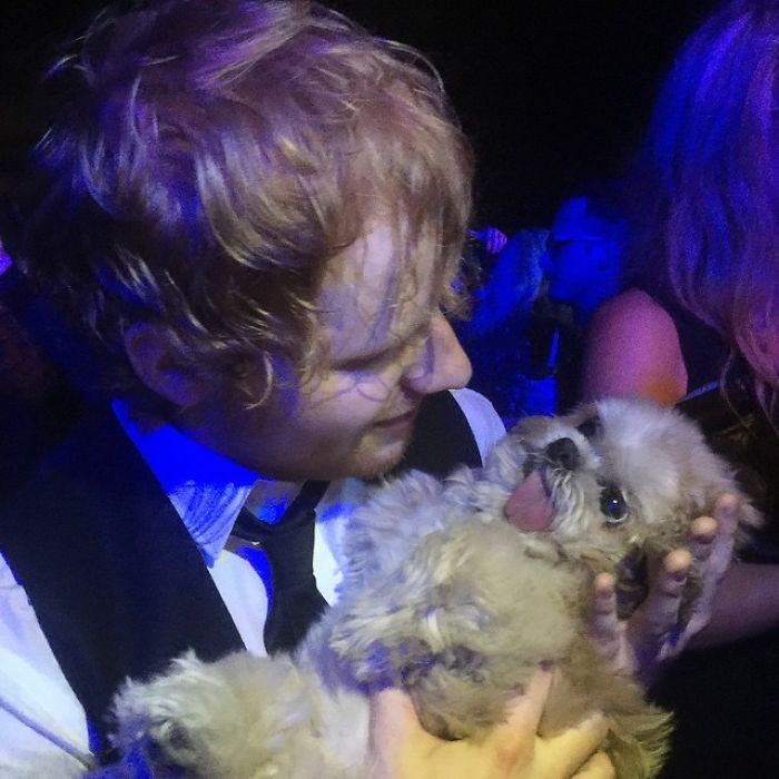 Meet Marnie, An 18 Y.O. Instagram Dog-Star With Almost 2 Million Followers And Friends Like Taylor Swift And Demi Lovato