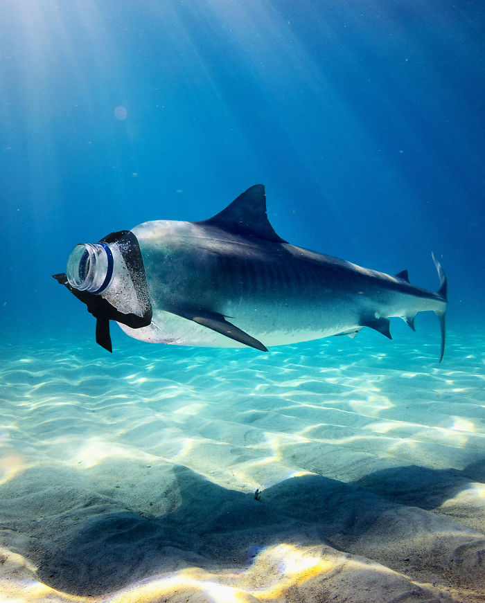 These 53 Pictures I Created To Bring You To Another World (New Pics) These 53 Pictures I Created To Bring You To Another World (New Pics)