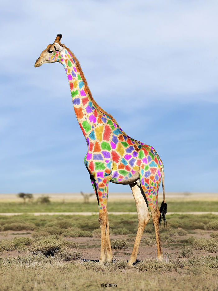 These 53 Pictures I Created To Bring You To Another World (New Pics) These 53 Pictures I Created To Bring You To Another World (New Pics)