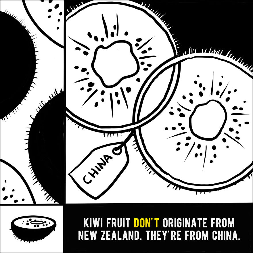 We Illustrated 20 Interesting Facts About New Zealand That You Probably Didn’t Know We Illustrated 20 Interesting Facts About New Zealand That You Probably Didn’t Know