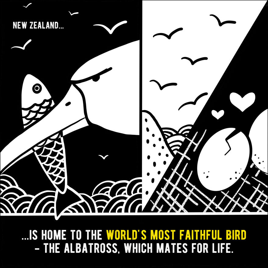 We Illustrated 20 Interesting Facts About New Zealand That You Probably Didn’t Know We Illustrated 20 Interesting Facts About New Zealand That You Probably Didn’t Know