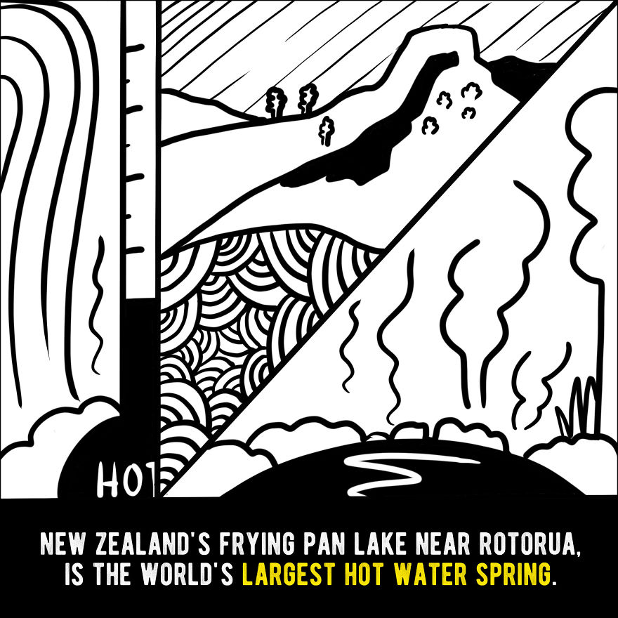 We Illustrated 20 Interesting Facts About New Zealand That You Probably Didn’t Know We Illustrated 20 Interesting Facts About New Zealand That You Probably Didn’t Know