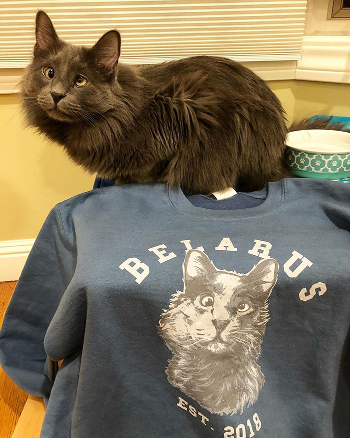 Meet Belarus, An Adorable Cross-Eyed Kitten That’s Stealing Everyone’s Hearts Meet Belarus, An Adorable Cross-Eyed Kitten That’s Stealing Everyone’s Hearts