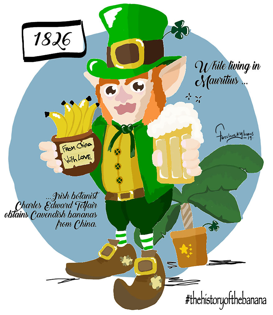 The Fascinating History Of The Banana The Fascinating History Of The Banana