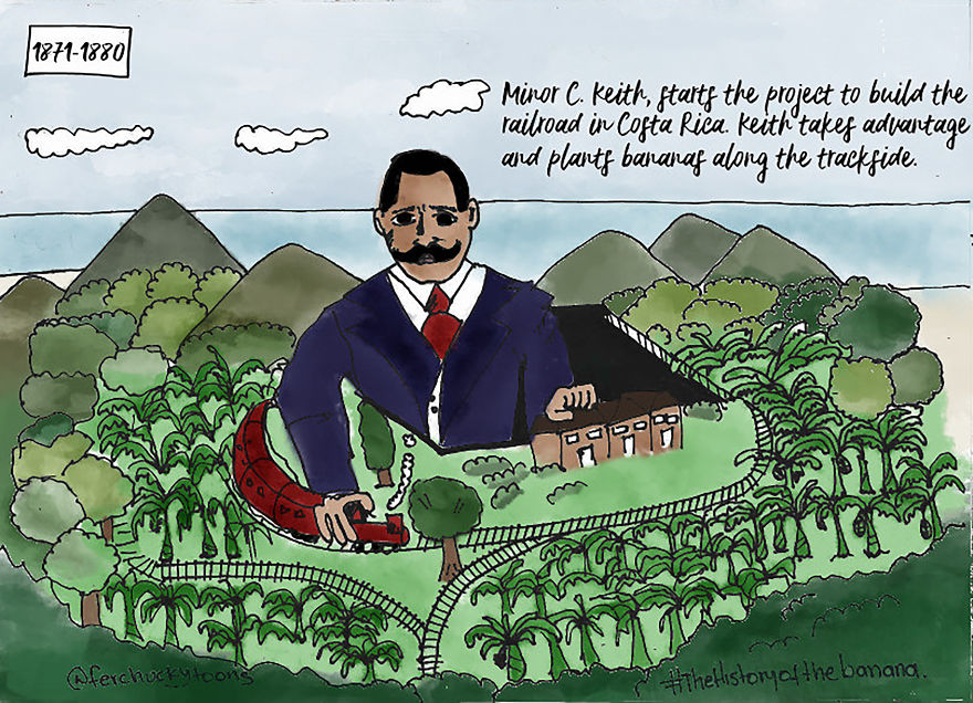 The Fascinating History Of The Banana The Fascinating History Of The Banana