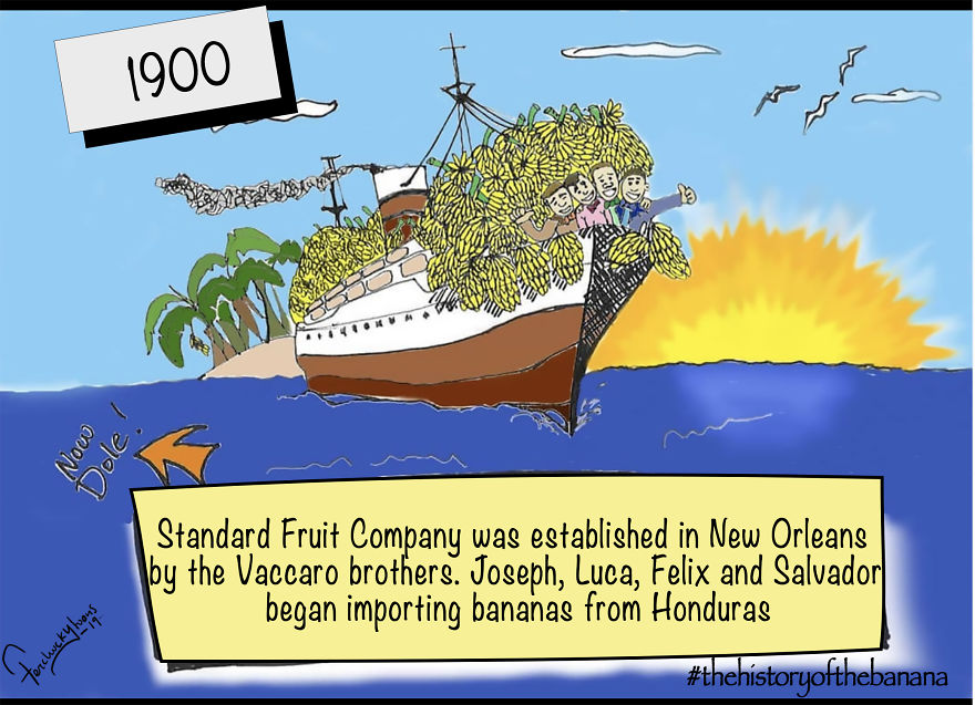 The Fascinating History Of The Banana The Fascinating History Of The Banana
