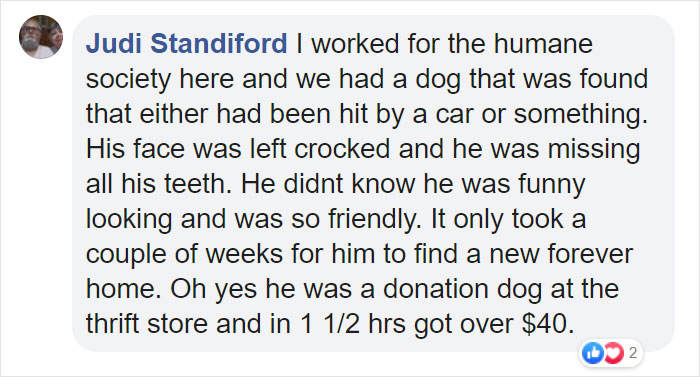Dog Finally Gets Adopted After His Mother’s Attack Left His Face Wonky Dog Finally Gets Adopted After His Mother’s Attack Left His Face Wonky