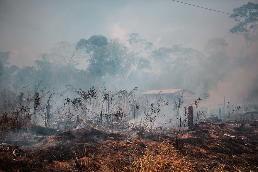 I Traveled To Burning Amazon Forest And Had My Very First Ayahuasca Ceremony I Traveled To Burning Amazon Forest And Had My Very First Ayahuasca Ceremony