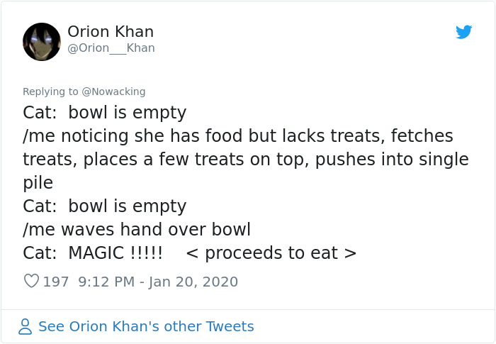 Guy Shares His Cat’s Funny Reaction To Him Opening A Can Thinking It’s Tuna, Gets A Fan Comic Strip Guy Shares His Cat’s Funny Reaction To Him Opening A Can Thinking It’s Tuna, Gets A Fan Comic Strip