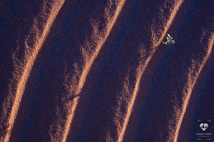 Photographer Shoots A Stunning Photograph That Took Ages To Plan Photographer Shoots A Stunning Photograph That Took Ages To Plan