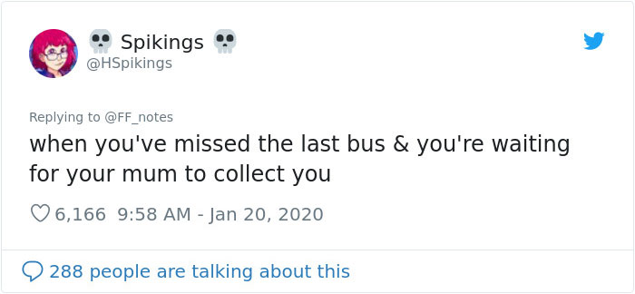 Possum Trashes Woman&#8217;s Office In Australia, Becomes A Meme