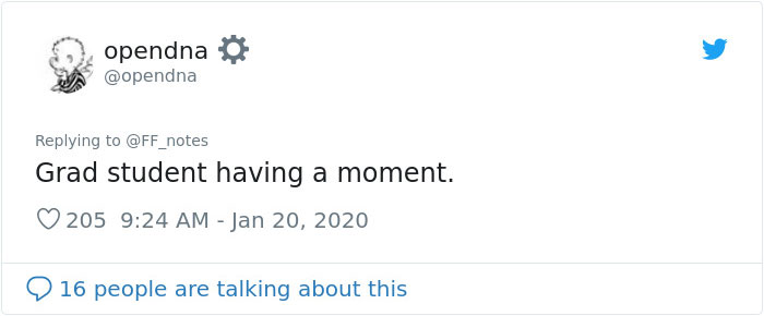 Possum Trashes Woman&#8217;s Office In Australia, Becomes A Meme