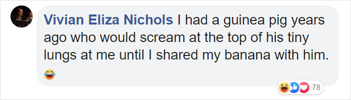 Cat Obsessed With Bananas Is Going Viral For How Inappropriate His Pics Look Cat Obsessed With Bananas Is Going Viral For How Inappropriate His Pics Look