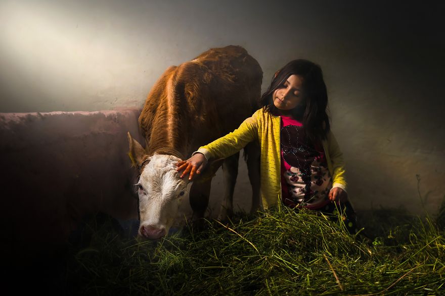 48 Of The Best Photos From Our #Friends2020 Contest To Brighten Your Day 48 Of The Best Photos From Our #Friends2020 Contest To Brighten Your Day