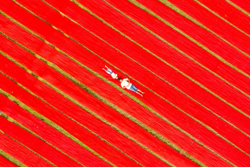 48 Of The Best Photos From Our #Friends2020 Contest To Brighten Your Day 48 Of The Best Photos From Our #Friends2020 Contest To Brighten Your Day