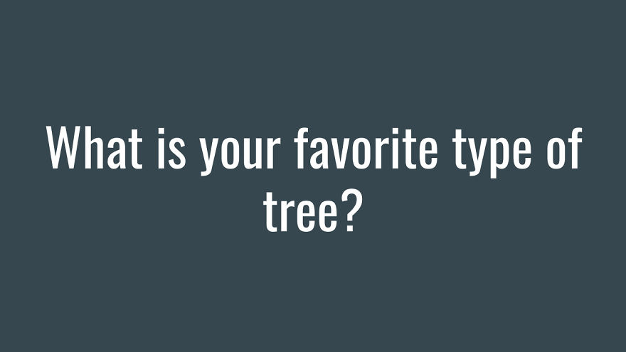 My 10-Question Quiz For Everyone To Get To Know Each Other My 10-Question Quiz For Everyone To Get To Know Each Other