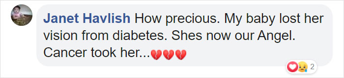 This Adorable Blind And Deaf Dog Comforts Every Foster Pet That His Owner Brings Home And It’s Wholesome This Adorable Blind And Deaf Dog Comforts Every Foster Pet That His Owner Brings Home And It’s Wholesome