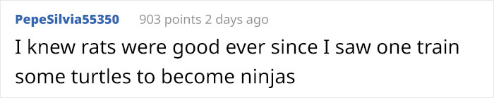 Rats Don&#8217;t Deserve The Reputation They&#8217;ve Got And This Science Experiment On Rat Friendship Proves It