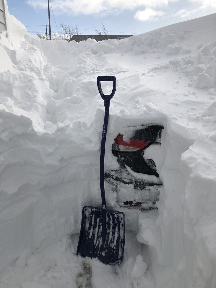 30 Pics Showing How Canadians Are Dealing With An Unprecedented Blizzard 30 Pics Showing How Canadians Are Dealing With An Unprecedented Blizzard