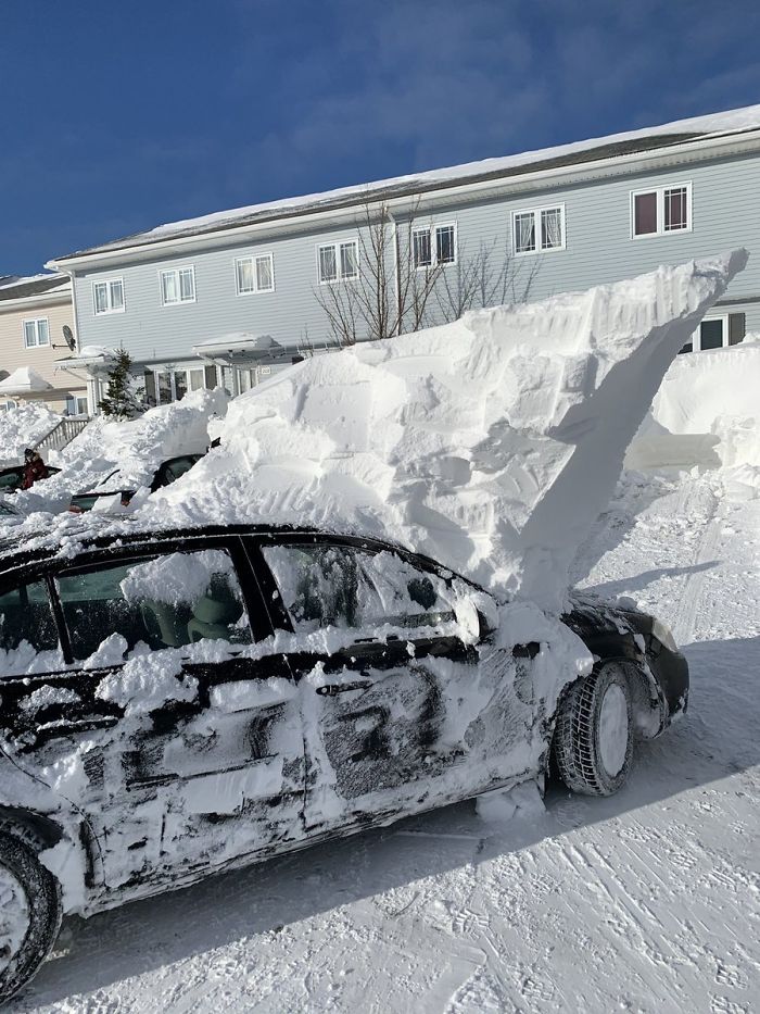 30 Pics Showing How Canadians Are Dealing With An Unprecedented Blizzard 30 Pics Showing How Canadians Are Dealing With An Unprecedented Blizzard