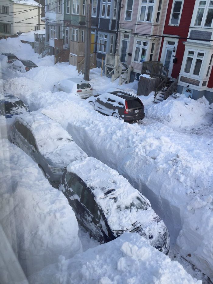 30 Pics Showing How Canadians Are Dealing With An Unprecedented Blizzard 30 Pics Showing How Canadians Are Dealing With An Unprecedented Blizzard