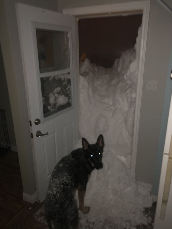30 Pics Showing How Canadians Are Dealing With An Unprecedented Blizzard 30 Pics Showing How Canadians Are Dealing With An Unprecedented Blizzard