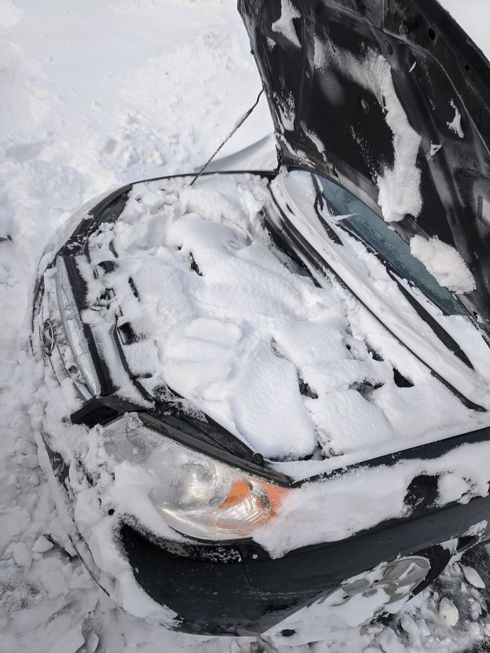30 Pics Showing How Canadians Are Dealing With An Unprecedented Blizzard 30 Pics Showing How Canadians Are Dealing With An Unprecedented Blizzard