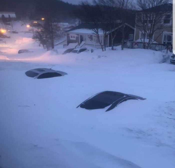 30 Pics Showing How Canadians Are Dealing With An Unprecedented Blizzard 30 Pics Showing How Canadians Are Dealing With An Unprecedented Blizzard