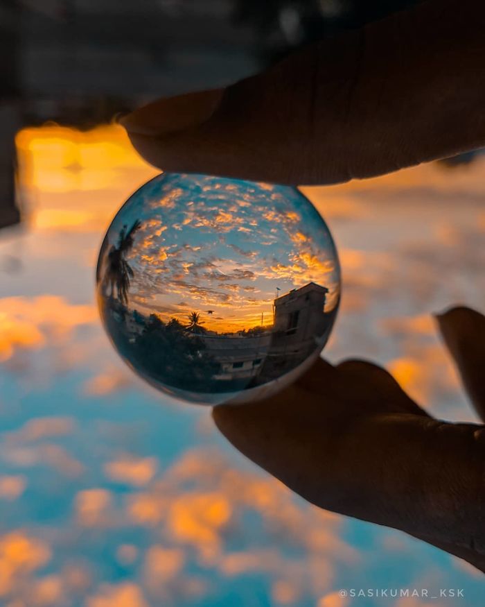 20-Year-Old Indian Guy Takes Incredible Macro Pics Using His Smartphone, Shows How You Could Do It Too (30 Pics)