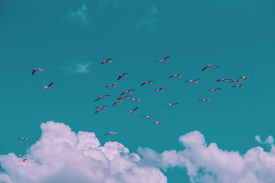 My Only Dream In Kenya Was To See Flamingos, But Everything That I Saw Was Beyond Description (42 Pics)