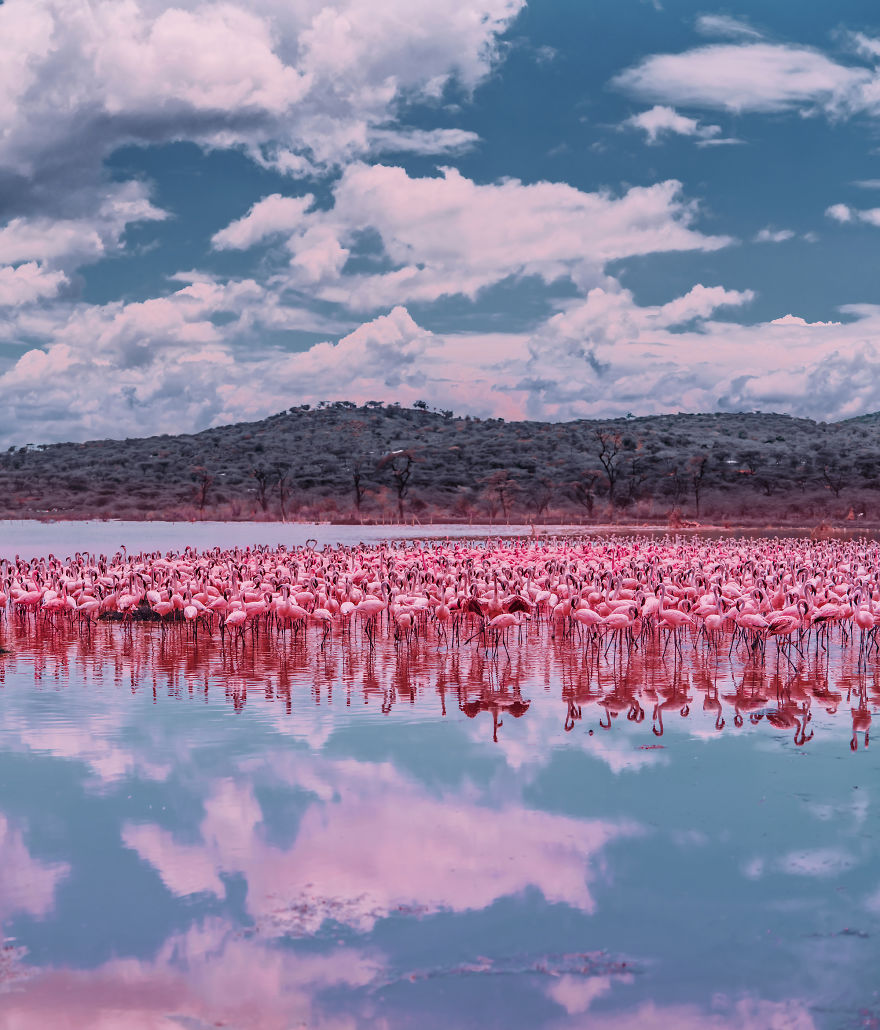 My Only Dream In Kenya Was To See Flamingos, But Everything That I Saw Was Beyond Description (42 Pics)