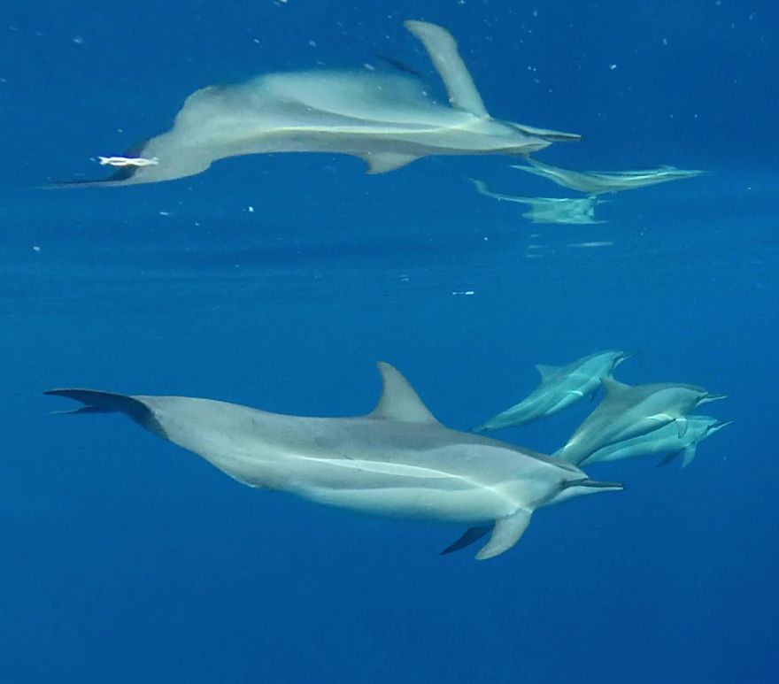 Welcome To The ‘Perfume Islands,’ One Of The Most Beautiful Yet Least Visited Countries In The World Welcome To The ‘Perfume Islands,’ One Of The Most Beautiful Yet Least Visited Countries In The World