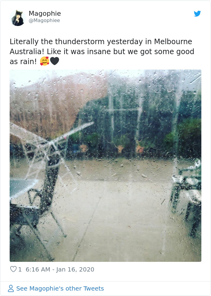 The Rain Finally Pours Down In Australia Putting Out Over 30 Deadly Bushfires The Rain Finally Pours Down In Australia Putting Out Over 30 Deadly Bushfires