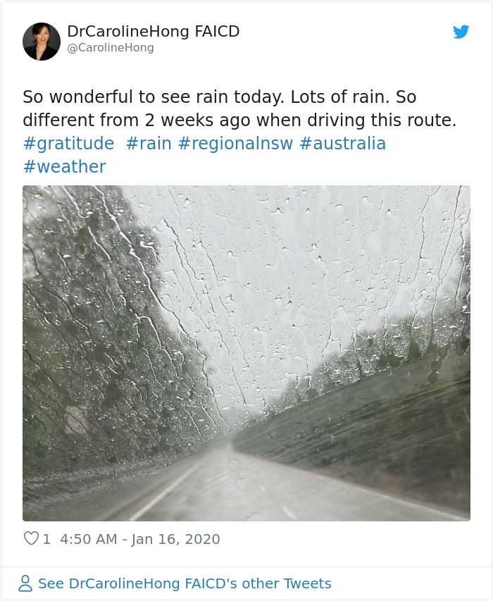 The Rain Finally Pours Down In Australia Putting Out Over 30 Deadly Bushfires The Rain Finally Pours Down In Australia Putting Out Over 30 Deadly Bushfires
