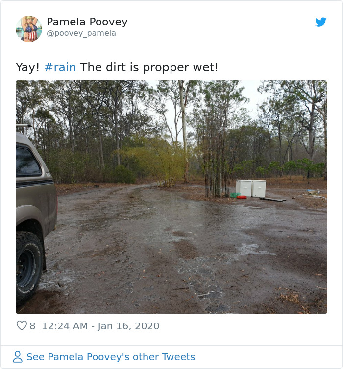 The Rain Finally Pours Down In Australia Putting Out Over 30 Deadly Bushfires The Rain Finally Pours Down In Australia Putting Out Over 30 Deadly Bushfires