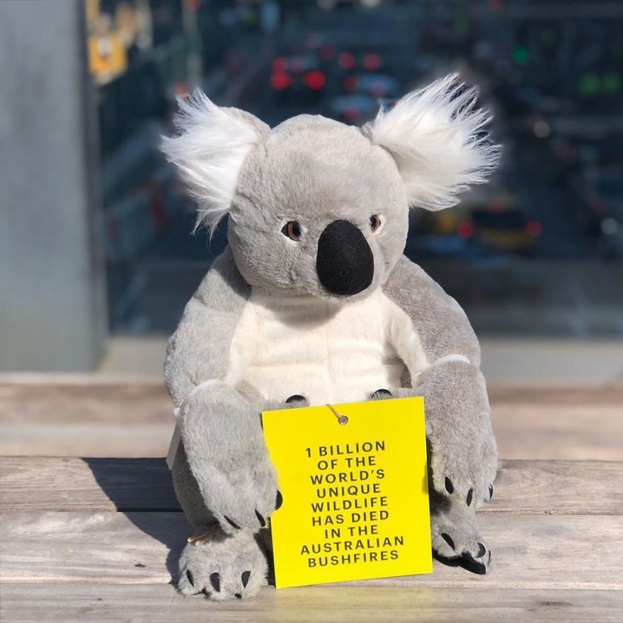 New York City Is Filled With Cute Stuffed Koalas Encouraging People To Donate To Australia (23 Pics) New York City Is Filled With Cute Stuffed Koalas Encouraging People To Donate To Australia (23 Pics)
