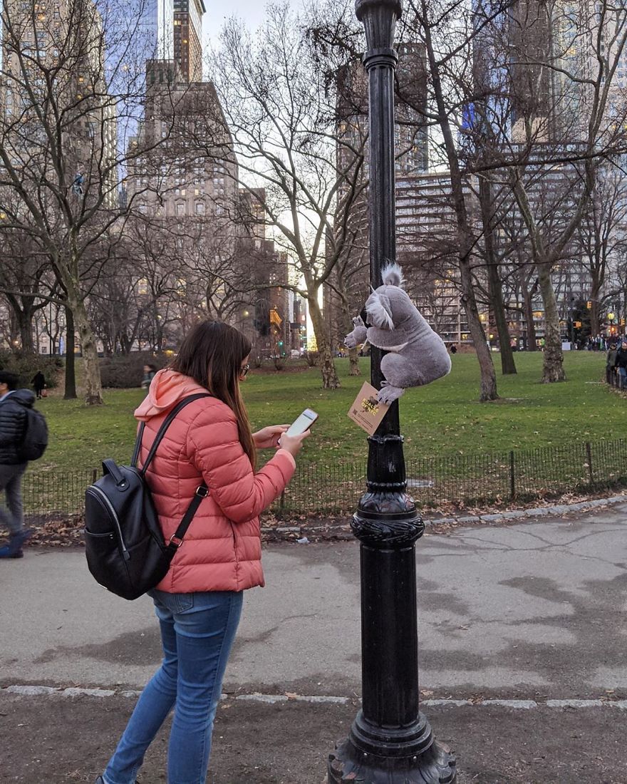 New York City Is Filled With Cute Stuffed Koalas Encouraging People To Donate To Australia (23 Pics) New York City Is Filled With Cute Stuffed Koalas Encouraging People To Donate To Australia (23 Pics)